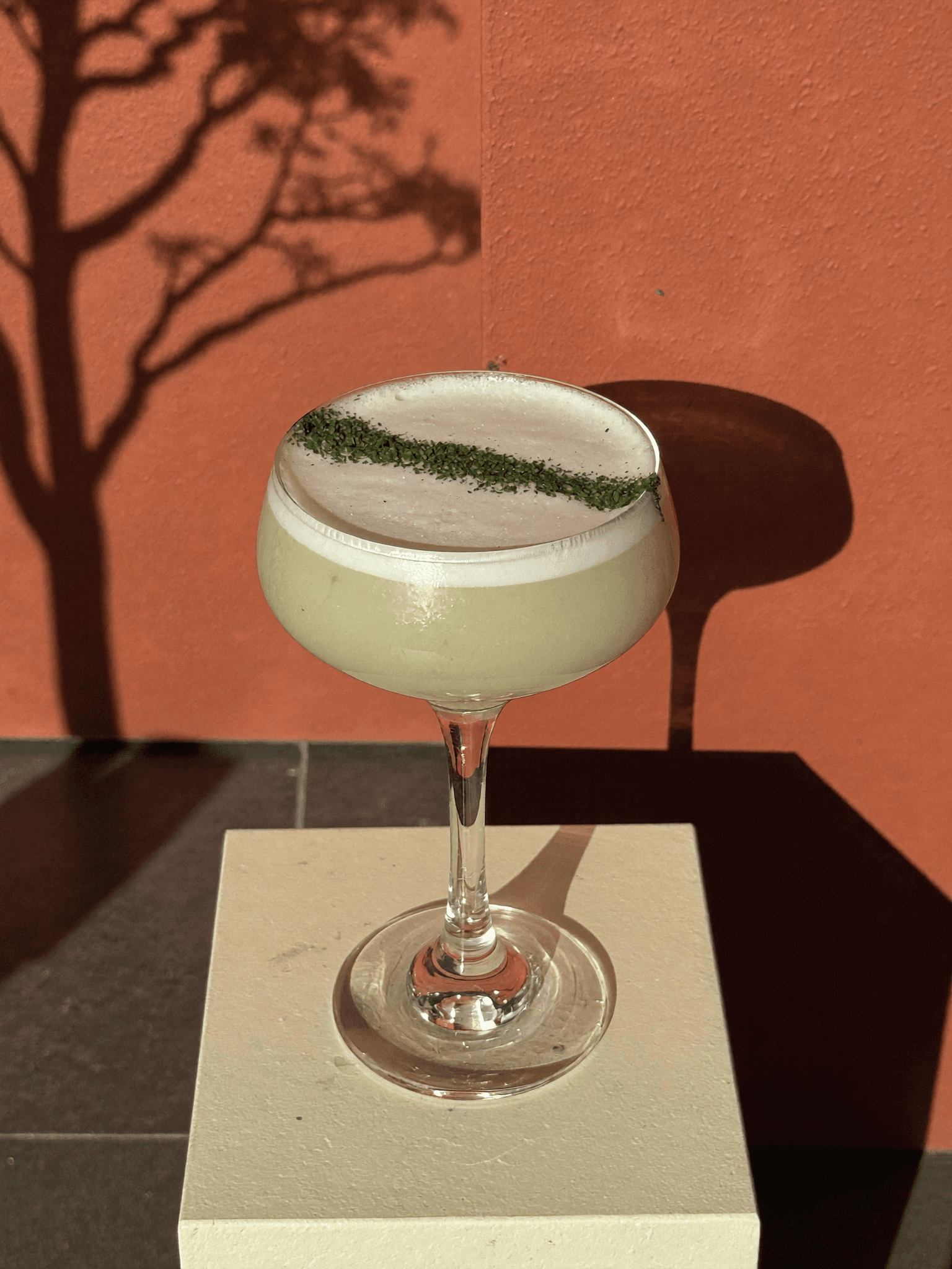 A Pombay Cane Vodka sour in a coupe against a terracotta wall