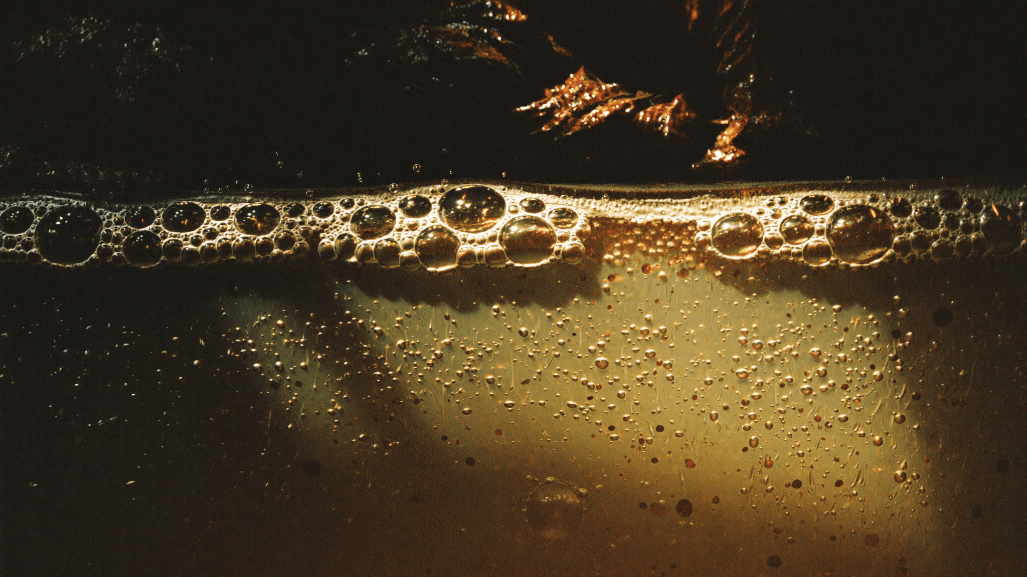 Macro detail of fermentation bubbles in the cane wash behind Pombay's spirits