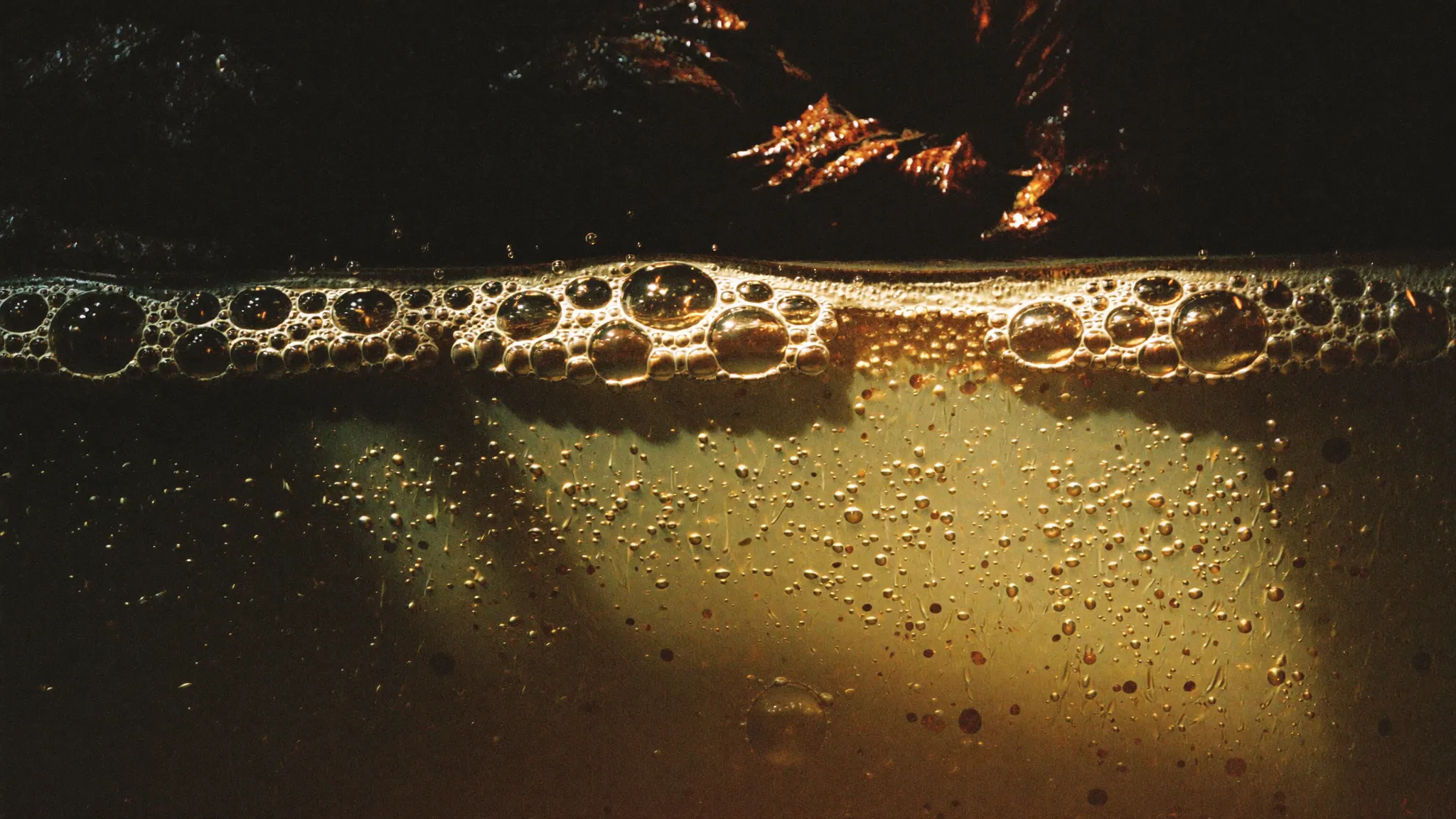 Macro detail of fermentation bubbles in the cane wash behind Pombay's spirits